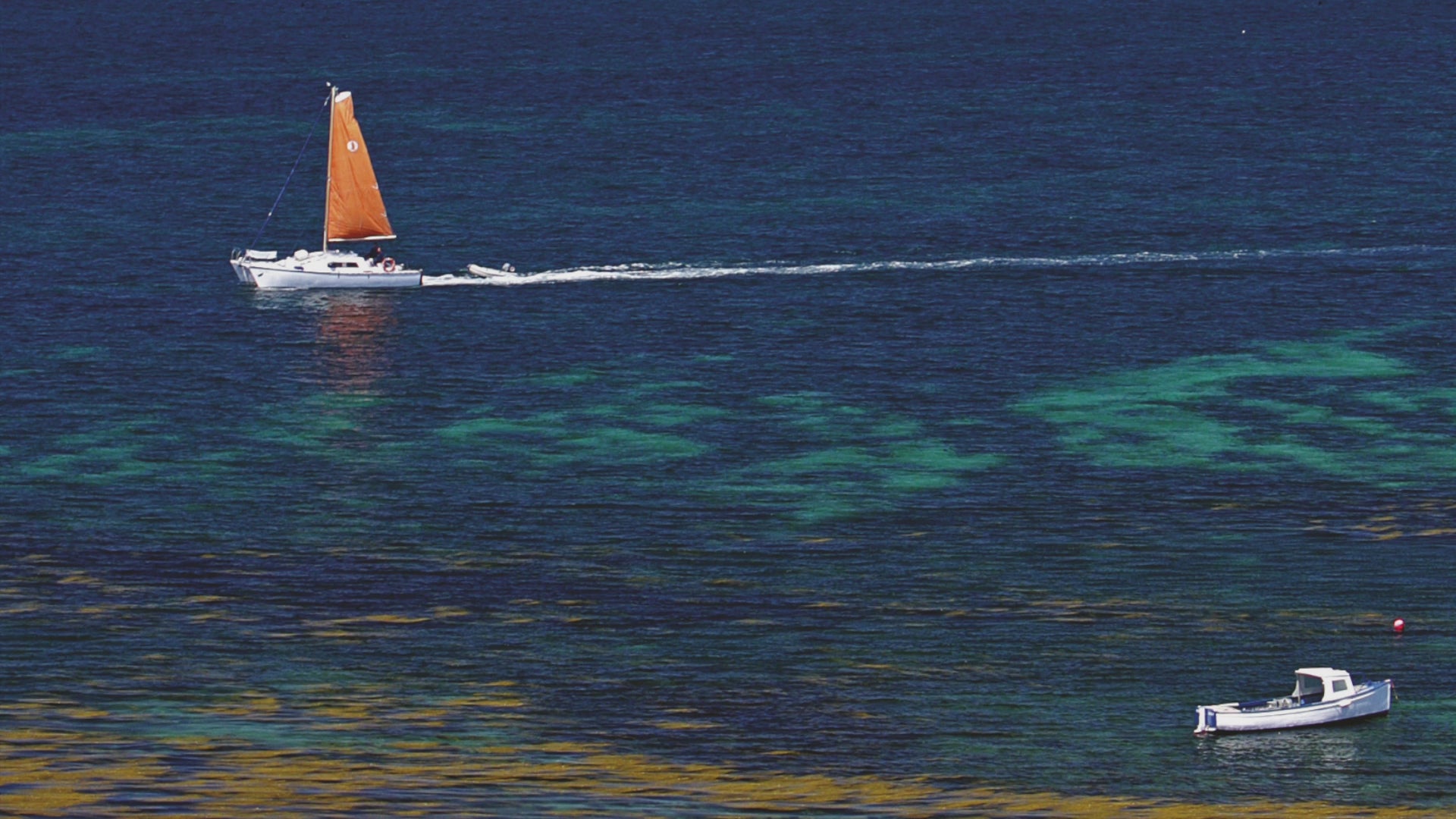 Video animatio of greeting card showing catamaran with orange sail  passing Round Island in the Isles of Scilly, with blue and azure water