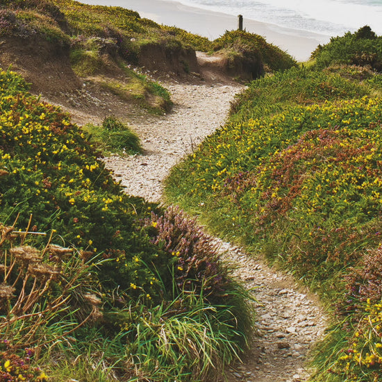 Video animation of a greeting card featuring the Cornish coast path between Chapel Porth and Porthtowan, with wildflowers in the foreground and the sea and coastline in the distance