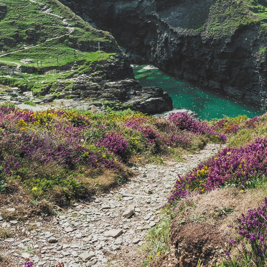 Short video showing the image of Coast Path near Delabole greeting card in detail