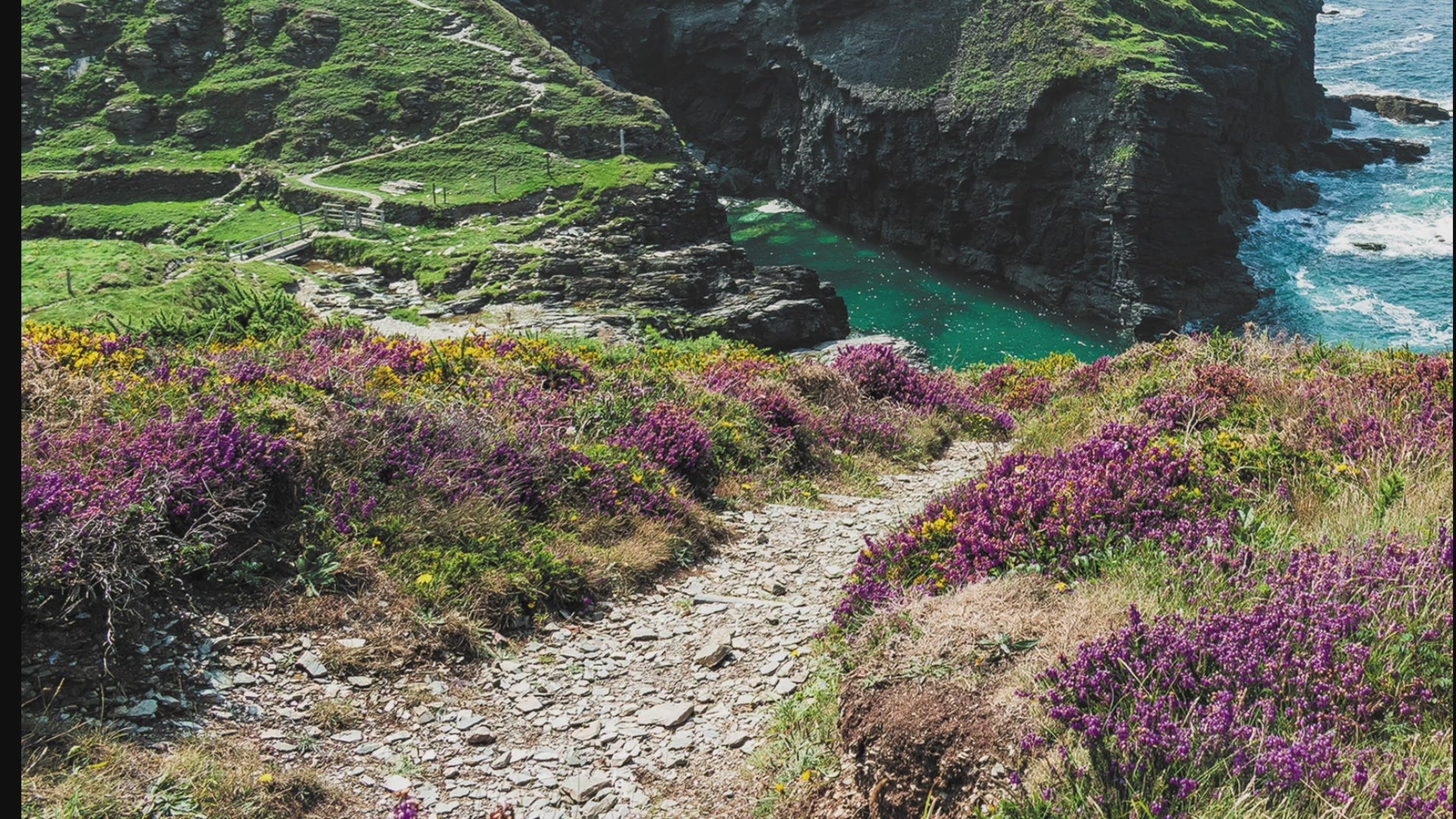 Short video showing the image of Coast Path near Delabole greeting card in detail