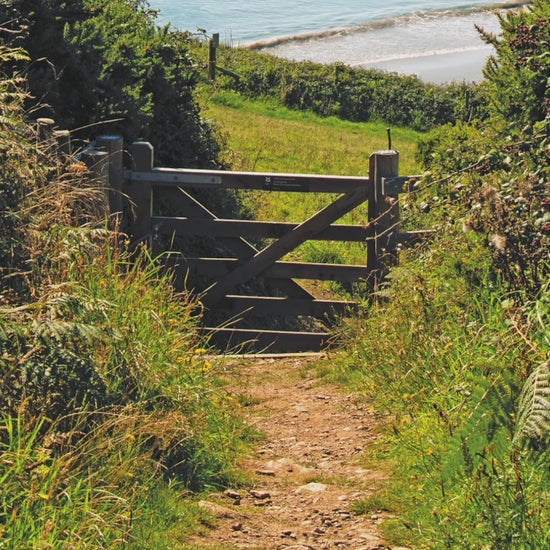 Video animation of greeting card, featuring the footpath down to Hemmick Beach, a yacht moored in the cove