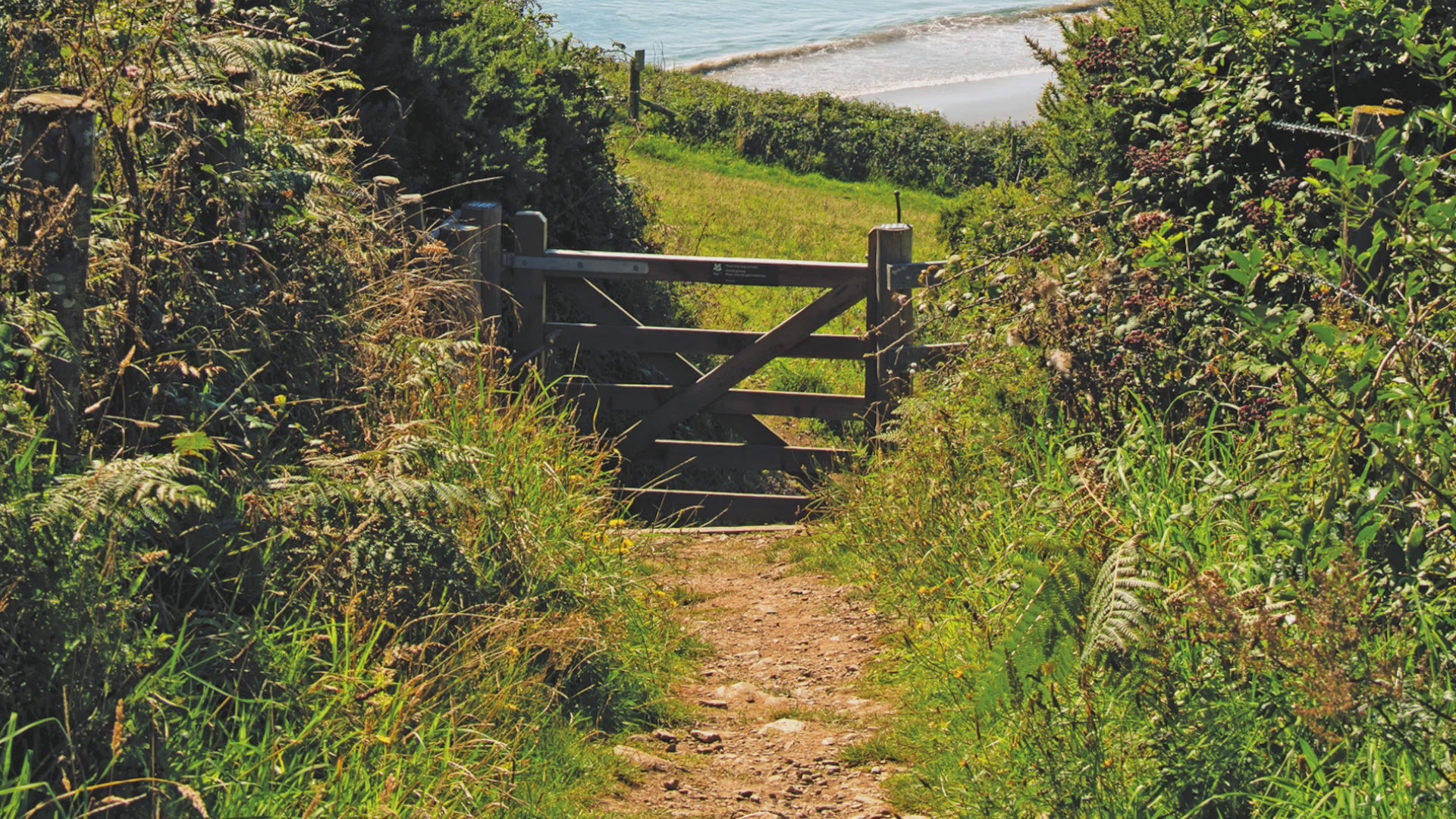 Video animation of greeting card, featuring the footpath down to Hemmick Beach, a yacht moored in the cove