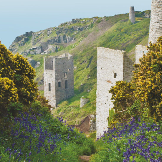 Video animation of greeting card featuring Wheal Trewavas, a footpath leading towards it lined with bluebells and gorse in flower, and looking out to sea
