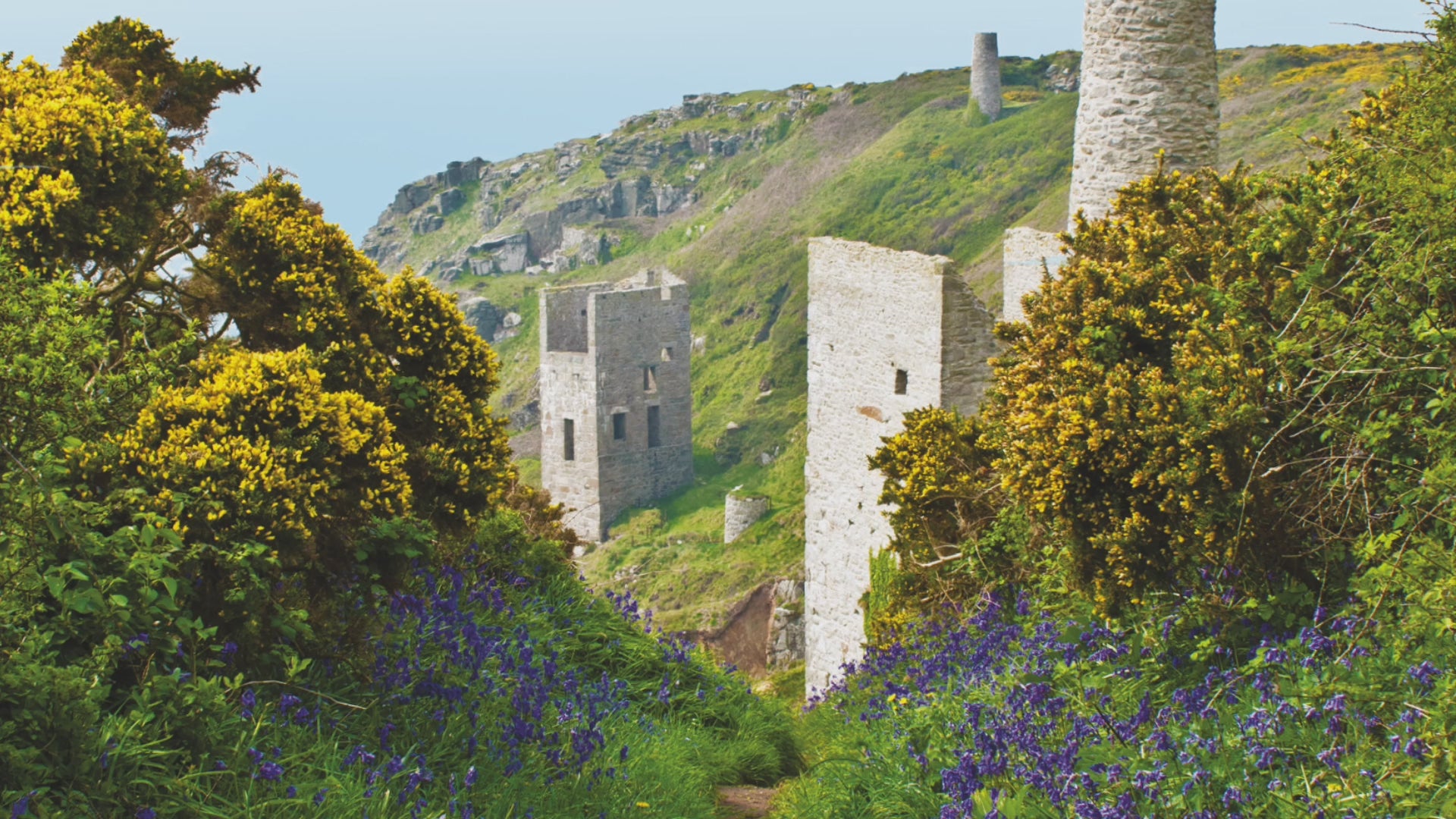 Video animation of greeting card featuring Wheal Trewavas, a footpath leading towards it lined with bluebells and gorse in flower, and looking out to sea
